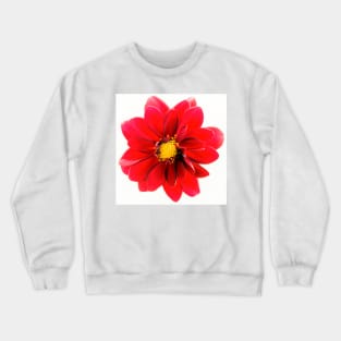 Red Crewneck Sweatshirt